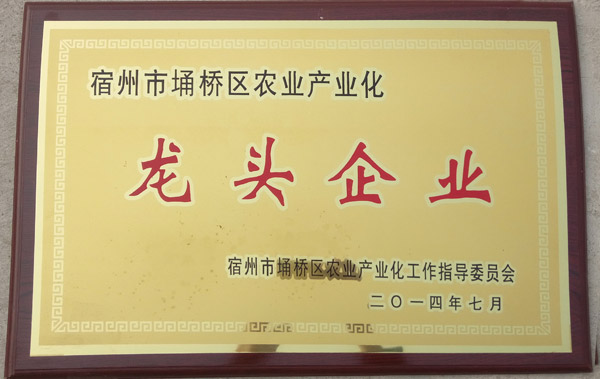 農業(yè)產(chǎn)業(yè)化龍頭企業(yè)