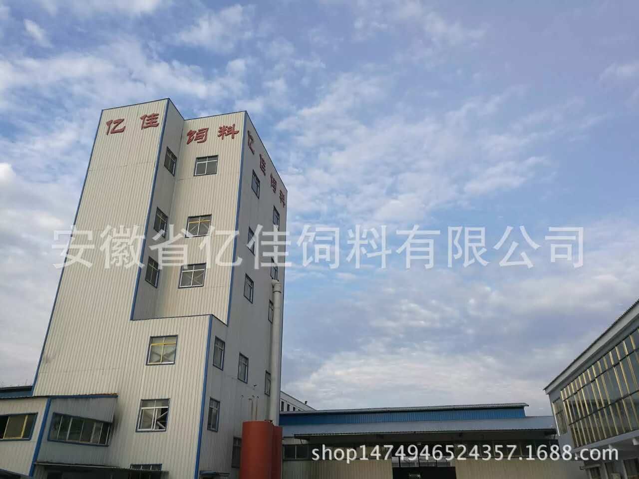 廠(chǎng)區環(huán)境